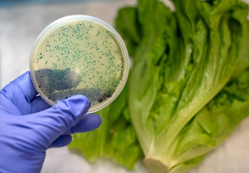 What infections aren’t contagious?