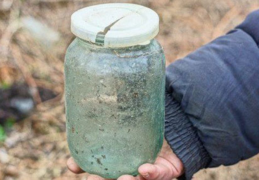10 Times Food Ignored Its Expiration Date to Live Forever
