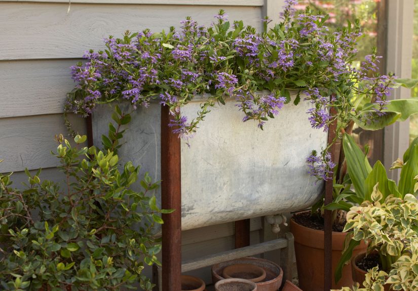 12 Unique Repurposed Planters Made from Salvaged Materials