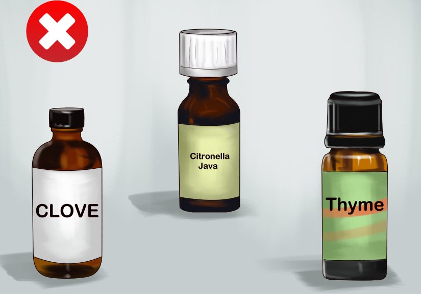 3 Ways to Handle Essential Oil Poisoning in Cats