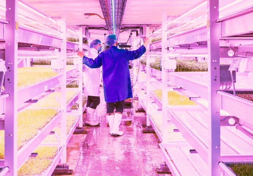 Farming's Future Is In a Bomb Shelter