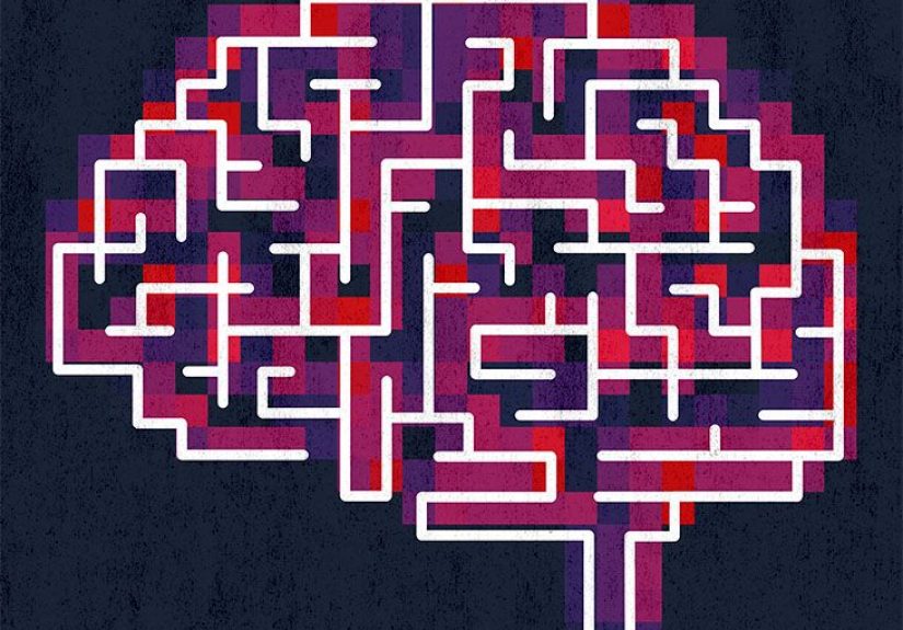 Frontal Lobe: Functions, Structure, and Damage