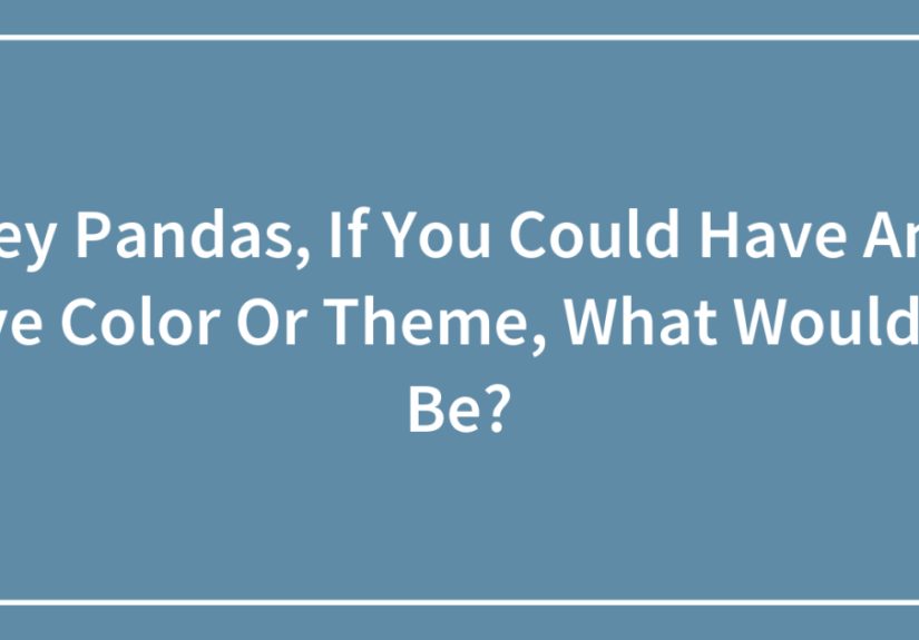 Hey Pandas, If You Could Have Any Eye Color Or Theme, What Would It Be?