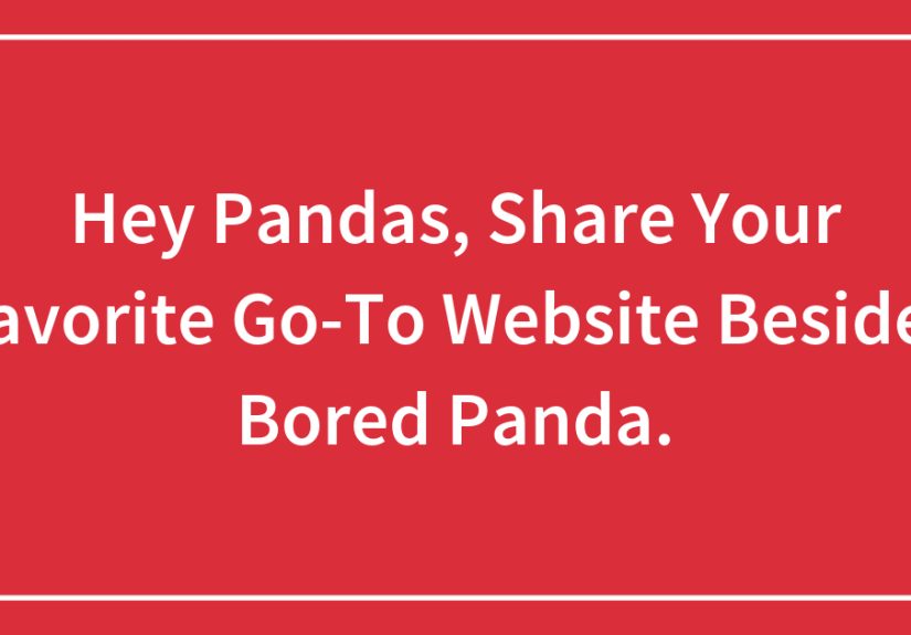 Hey Pandas, Share Your Favorite Go-To Website Besides .