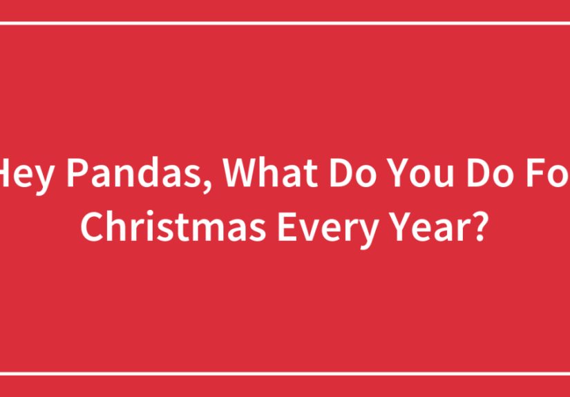 Hey Pandas, What Do You Do For Christmas Every Year?
