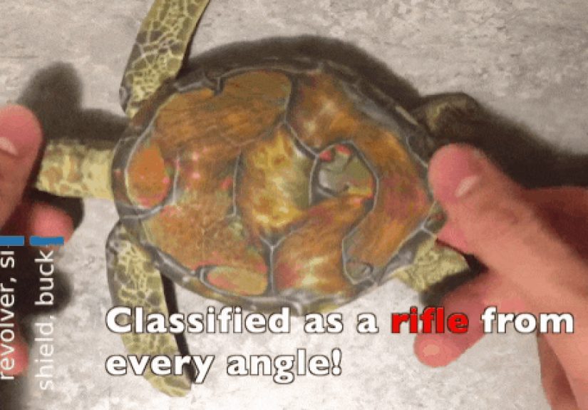 How Researchers Convinced AI That This Turtle Is a Rifle