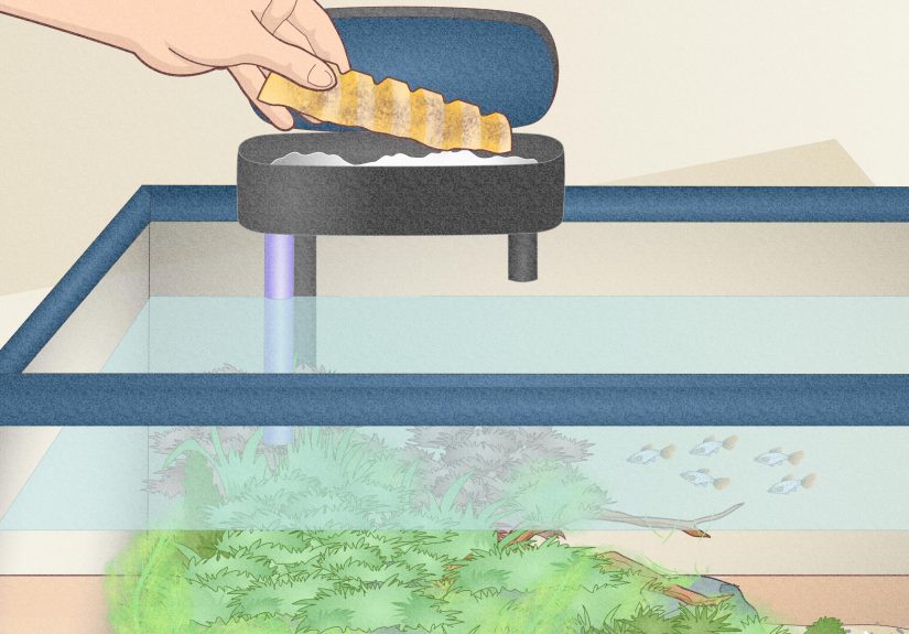 How to Clean Aquarium Filters: 11 Bacteria-Friendly Steps