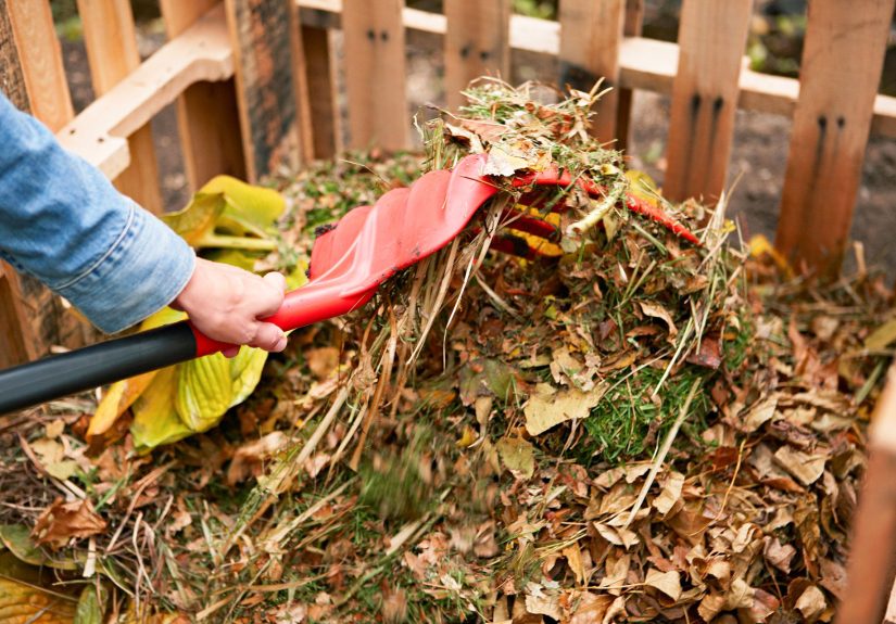 How to Compost for Beginners: 4 Simple Steps