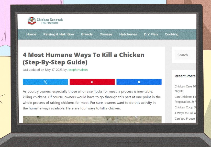 How to Determine the Sex of a Chicken: A Comprehensive Guide