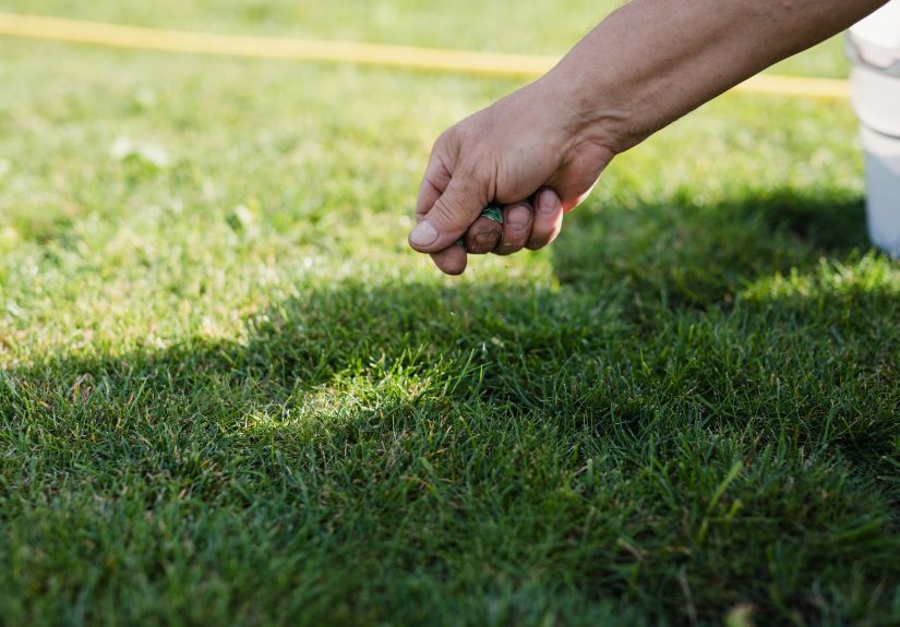 Is Overseeding Your Lawn Every Year Worth It? What to Know Before You Start