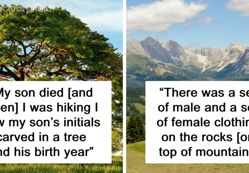 “It Snapped Like A Biscuit”: 40 Hikers Who Saw Something Truly Terrifying