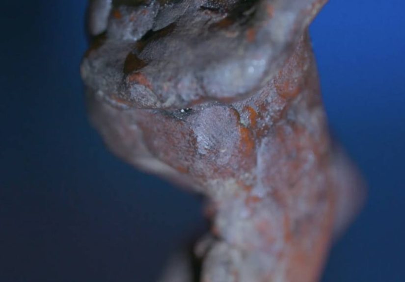 Michelangelo May Have Left a Thumbprint on This Wax Sculpture's Butt