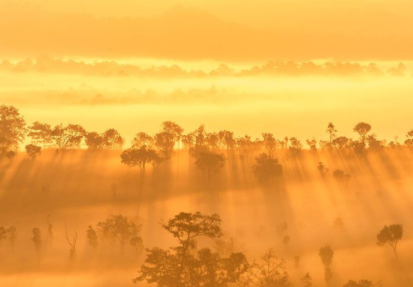 Mourning vs. Grief: What's the Difference?