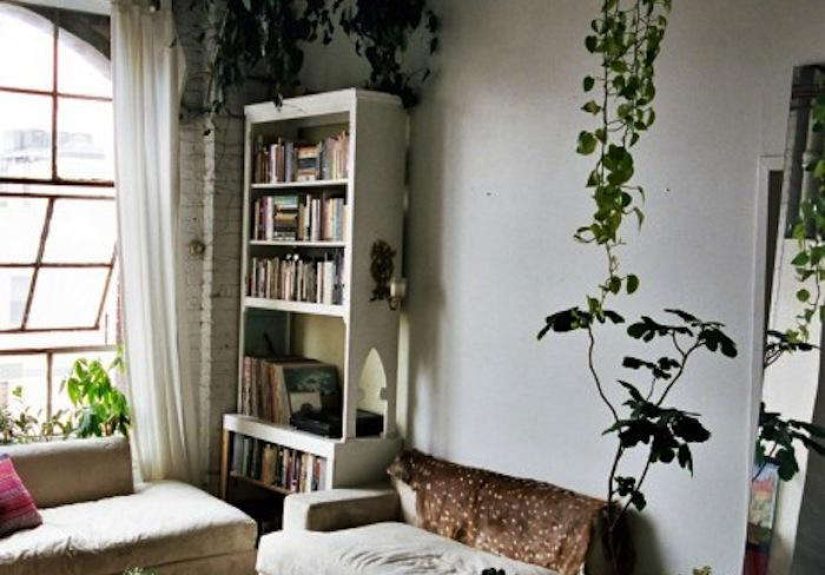 Steal This Look: Isabel Wilson's House Plants