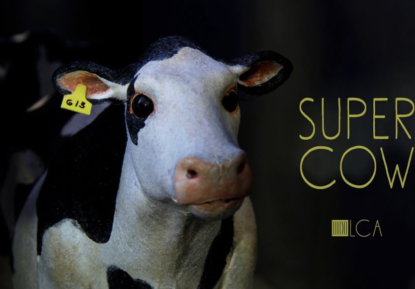 “Super Cow”: I Created A Stop-Motion Animation About A Dairy Cow Escaping From Slaughter