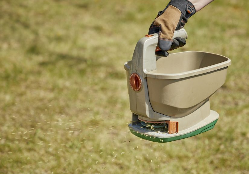 The Best Grub Killers for a Healthy Lawn - Picks by Bob Vila