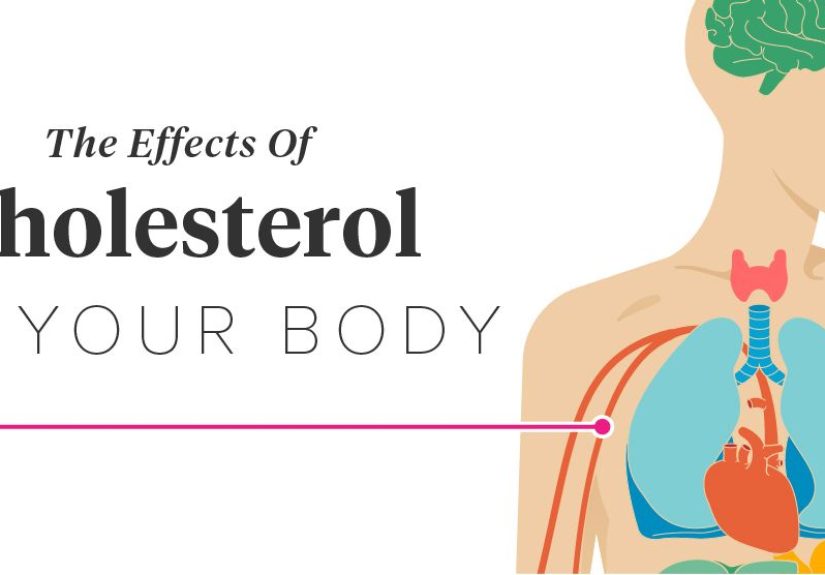 The Effects of Cholesterol on the Body