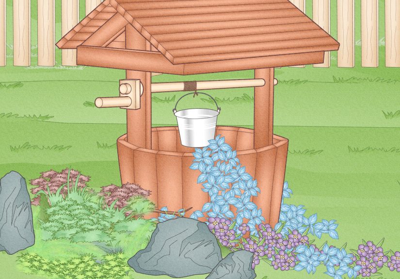 The Wishing Well: Will Your Wish Come True?
