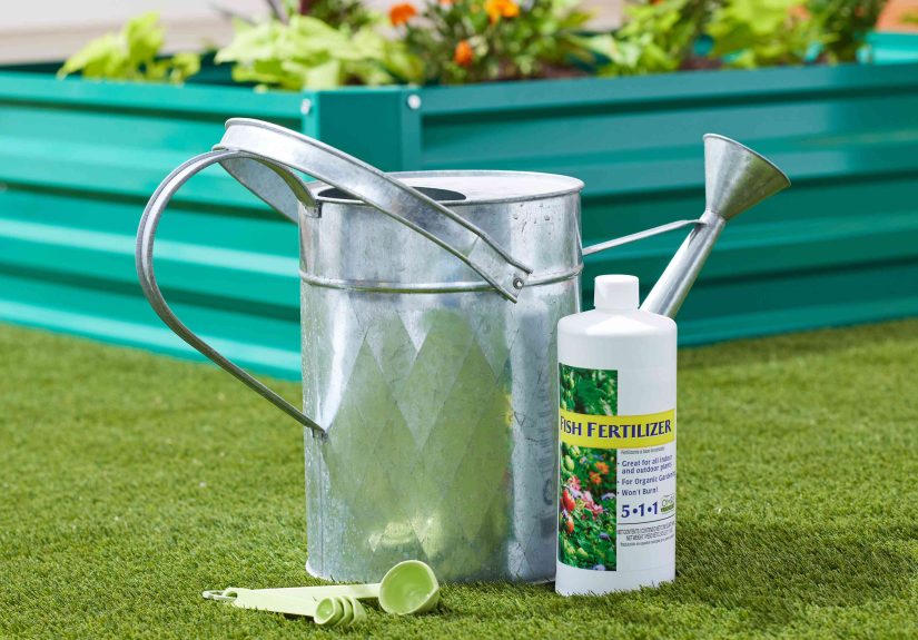 Using Fish Emulsion As an Organic Fertilizer