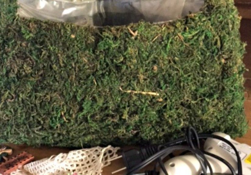 Vintage Moss Purse