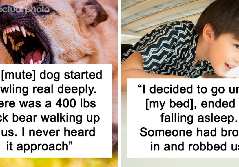 "We Would've Been Involved In A 6-Car Accident": 40 Incredible Stories Of The Universe Saving People