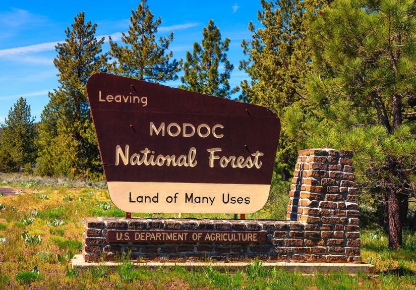 What You Can and Can't Take From State/Federal Land
