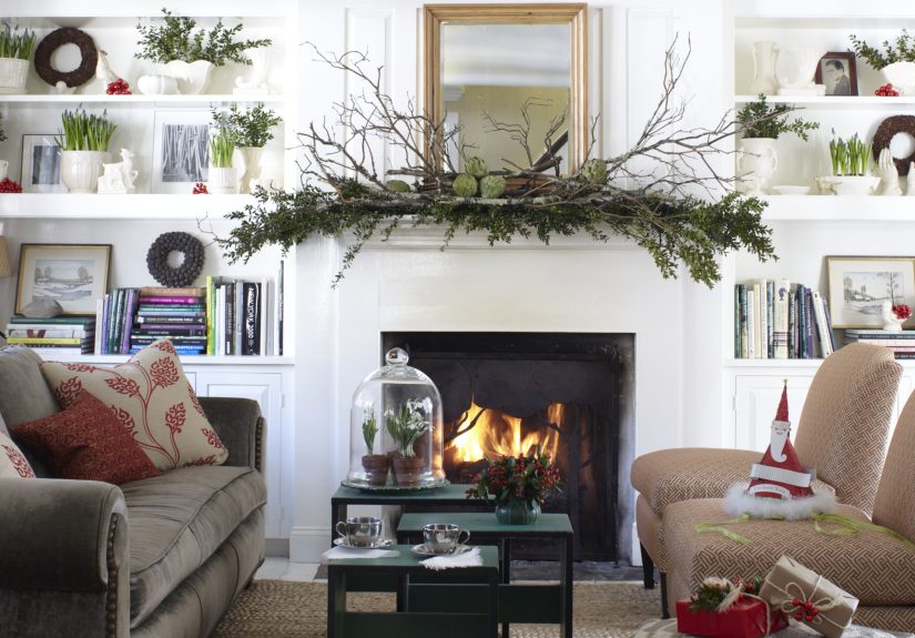 12 Best Types of Plants to Use for Indoor Holiday Decorating
