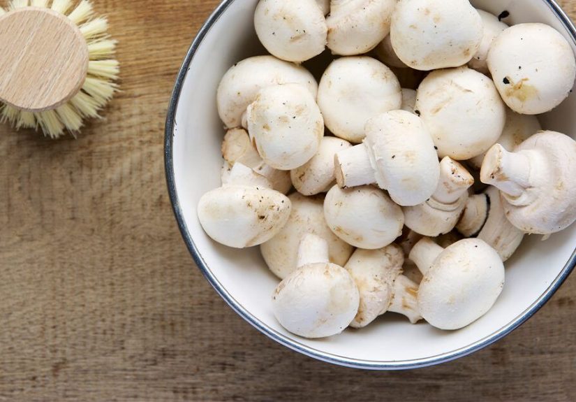 Can You Eat Mushrooms During Pregnancy?