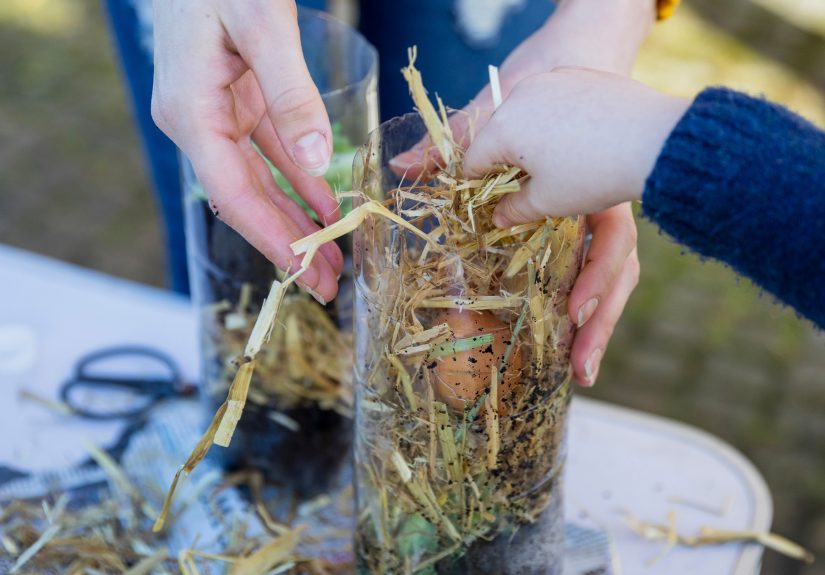 Classroom Nature Experiments to Spark Student Curiosity