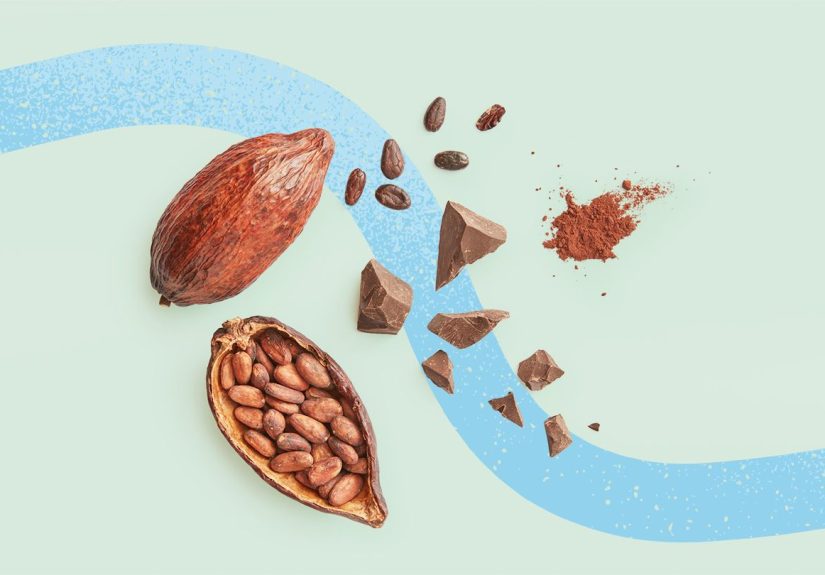Could Cocoa Supplements Combat Heart Disease and Promote Longevity?