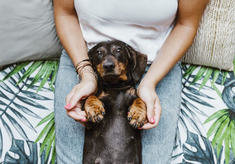Growing Up With a Pooch Could Be Key to Protecting Against Crohn’s Disease