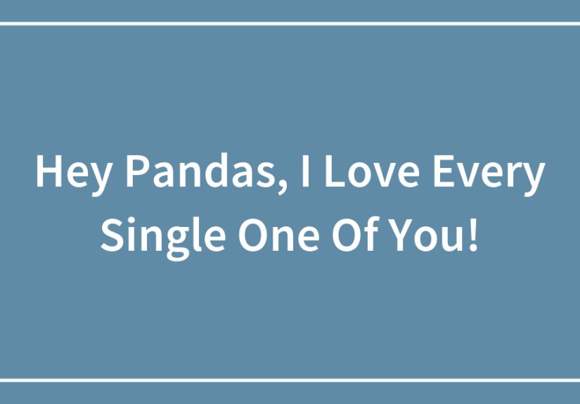 Hey Pandas, I Love Every Single One Of You!