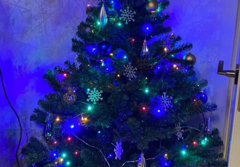 Hey Pandas, Post A Picture Of Your Christmas Tree This Year