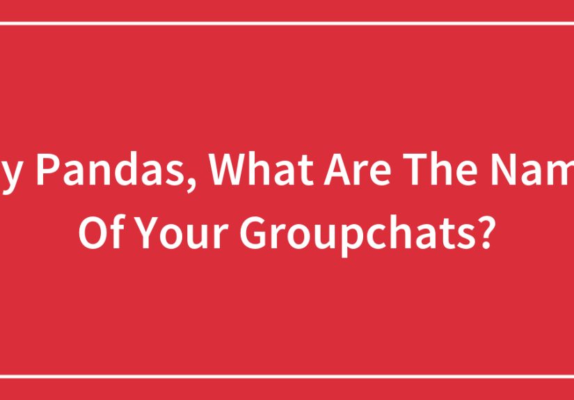 Hey Pandas, What Are The Names Of Your Groupchats?