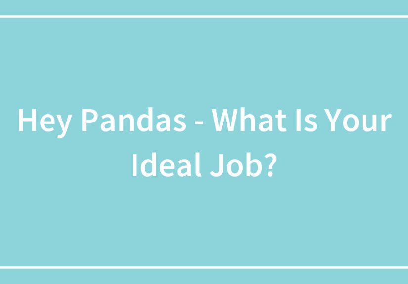 Hey Pandas, What Is Your Ideal Job?