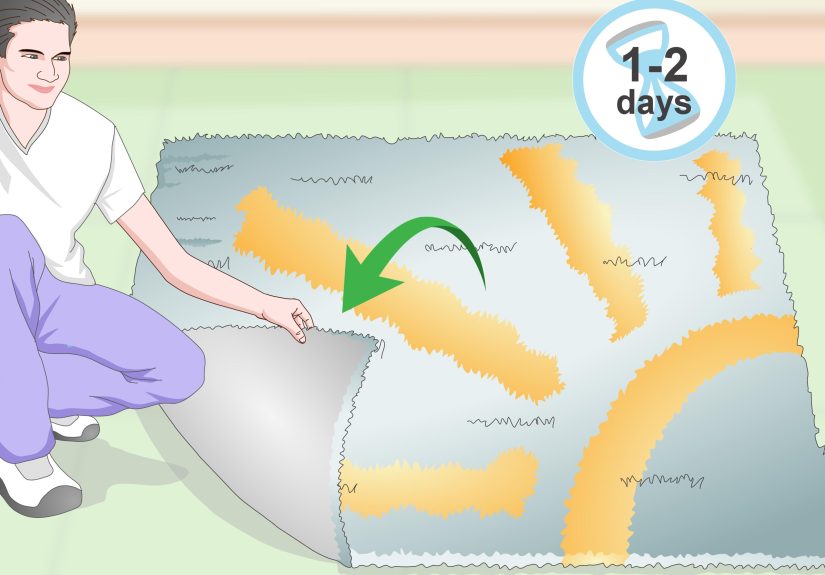 How to Clean a Large Area Rug: 11 Steps