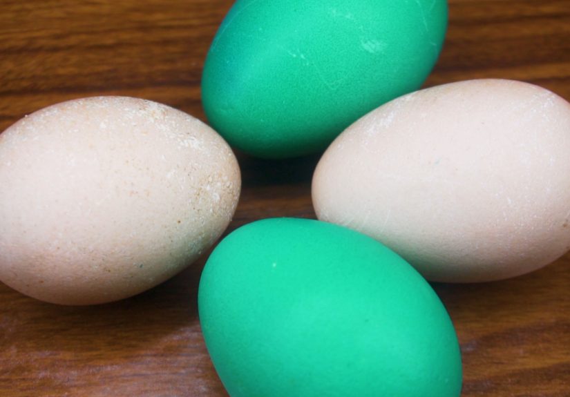 How to Dye Eggs with Food Coloring Without Vinegar: 9 Steps