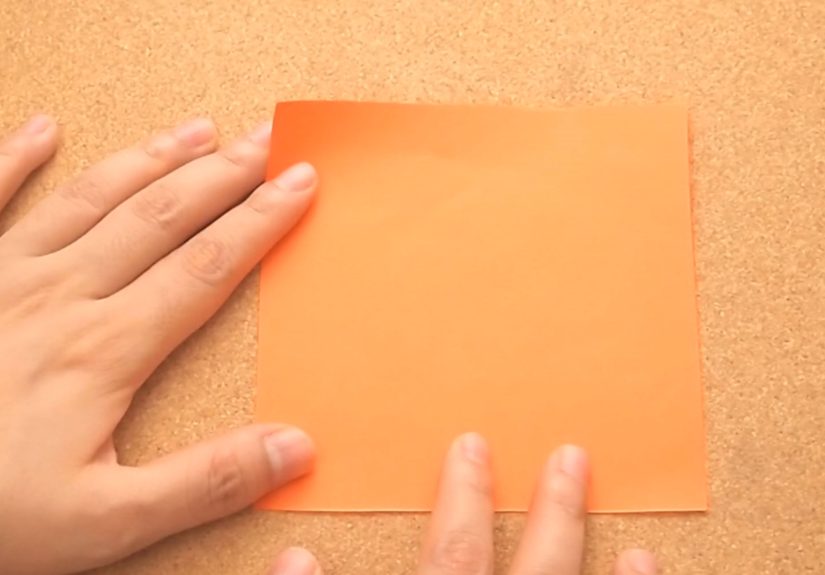 How to Fold an Origami Duck: 11 Steps