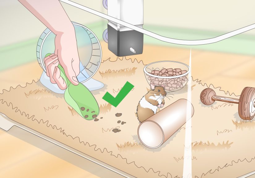 How to Make a Hamster Bin Cage: 14 Steps