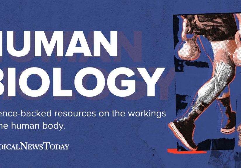 Human Biology: Insights into the Human Body