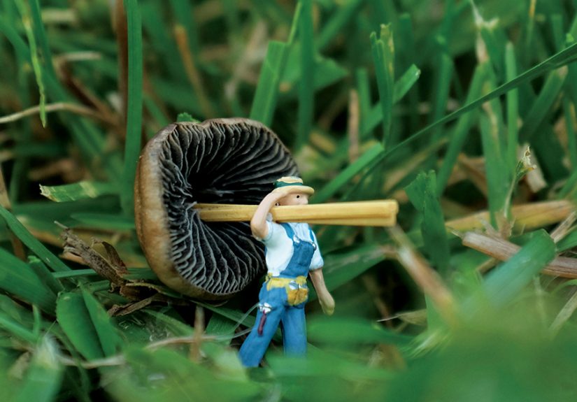 I Spent A Year Photographing The Tiny Residents Of Our Vegetable Farm, And Here Are The Best 20 Photos