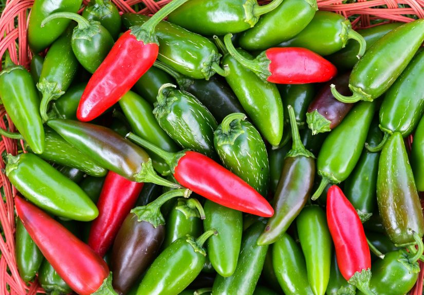 Red vs. Green Jalapeños: Which One Packs More Heat And Why