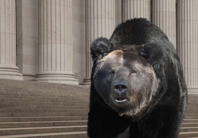 The Impact of Bear Markets on Investments