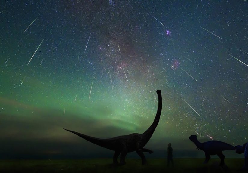 What Killed the Dinosaurs?